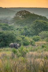 Fototapeta premium creative