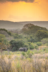 Obraz premium creative