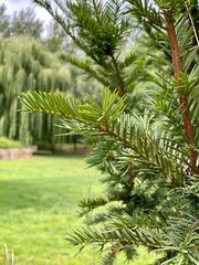 beauty is in the eye of the beholder