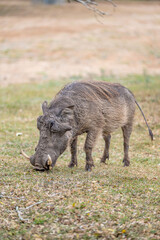 Fototapeta premium creative