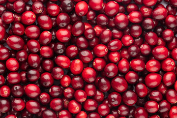 Cranberry bio background, food background.