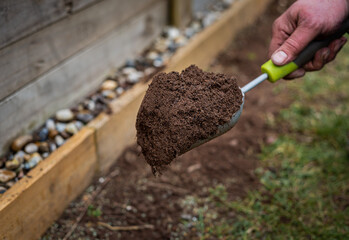 Close up of scoop garden hand tool filled with dirt soil over grass in backyard garden. 