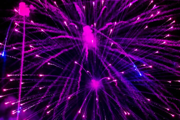Fototapeta premium Bright, beautiful purple fireworks in the night sky.