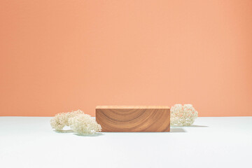Abstract creative podium pedestal from natural materials, coral blue pastel background, hard shadow