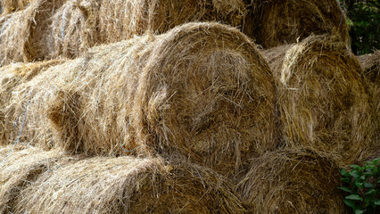 Hay in a bale in a sunny day. Food product for farm animals, farming concept