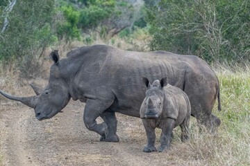 Fototapeta premium creative