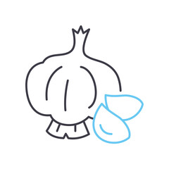 garlic vegetable line icon, outline symbol, vector illustration, concept sign