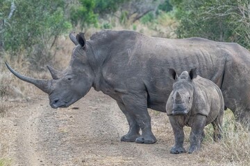 Fototapeta premium creative