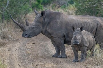 Fototapeta premium creative