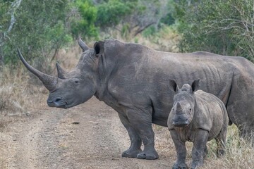 Obraz premium creative