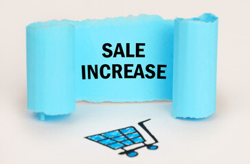 A consumer basket is drawn on a white background, next to it is a blue plate with the inscription - SALE INCREASE