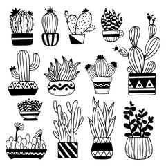 Set of doodle sketches of catus, succulents in flower pots. Vector graphics of simple plants.