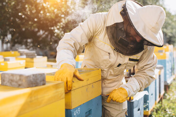 Portrait of a happy male beekeeper working in an apiary near beehives with bees. Collect honey. Beekeeper on apiary. Beekeeping concept.