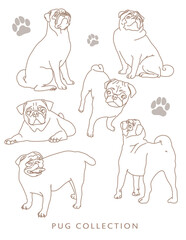 Pug Illustration Graphic Elements Variety Different Poses Outline, Line Art