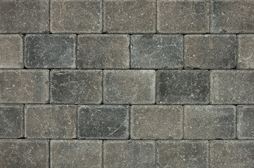 decorative tiles for the sidewalk. in the photo, a sidewalk tile in close-up