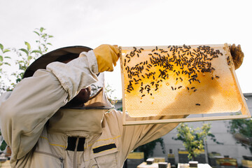 The beekeeper works to collect honey. Beekeeping concept.