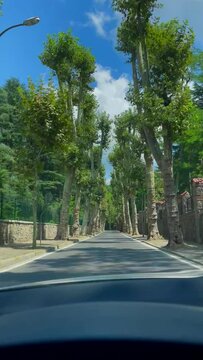 Car moving on the street surrounded by green trees in Beykoz District