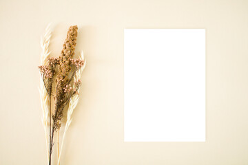 Top view botanical mockup card with dry grass
