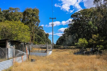 Rustic shed and power lines in a bushland in Emmaville, New South Wales, Australia