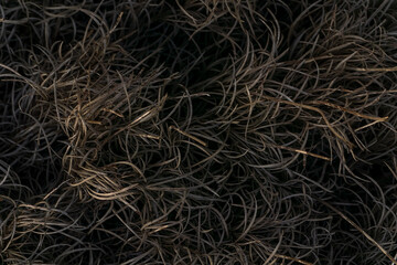 Burnt grass patterned abstract grey background