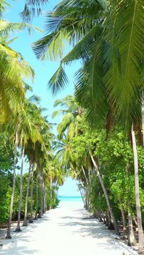 Vertical shot of a beach with sands and palm trees