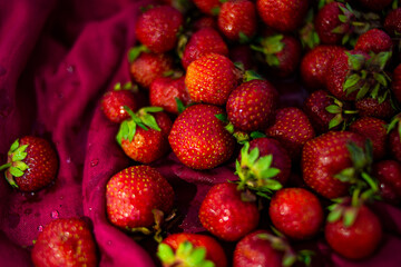 Red ripe strawberries on a red background