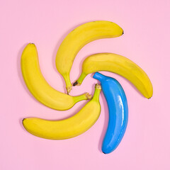 Creative pastel pink background with ripe organic bananas and one in blue color. Creative flat lay