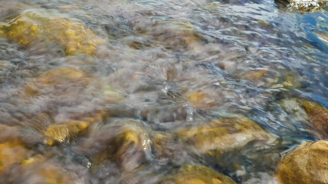floating water above gutweed.