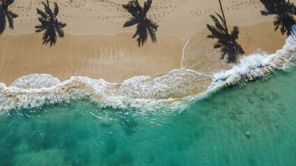 Aerial view of the fabulous Paradise Beach with palms reflected on the shore in Barbados - obrazy, fototapety, plakaty
