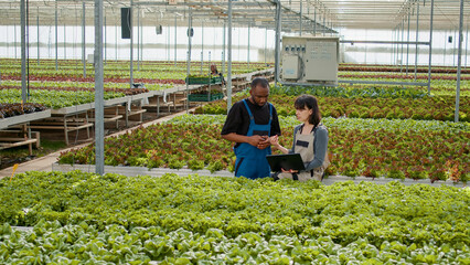 Diverse greenhouse workers using laptop to manage online orders for harvested crops while coworkers...