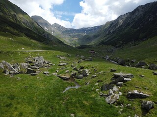 Scenic view of a mountain valley with luxuriant green vegetation © Tonda Guman/Wirestock Creators