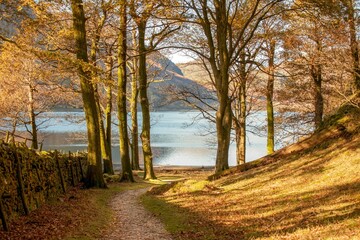 Path leading to a calm lake in England's Lake District