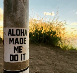 Closeup of a sign in O'ahu, Hawaii saying "aloha made me do it" - wholesome and loving quote