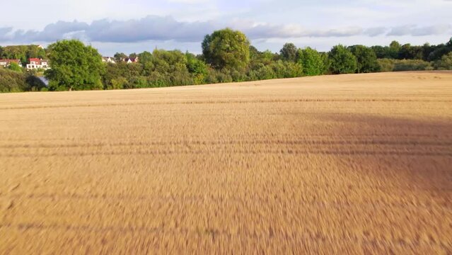 Aerial Approach to Ploen. Flying over crops and revealing the Ploen castle.