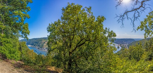 Image of the Rhine near Bingen from a vantage point during the day