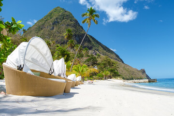 Sugar beach Saint Lucia, is a public white tropical beach with palm trees and luxury beach chairs...