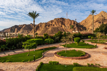 territory with landscape design with palm trees and sandy mountains in the background
