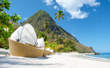 Sugar beach Saint Lucia, is a public white tropical beach with palm trees and luxury beach chairs...