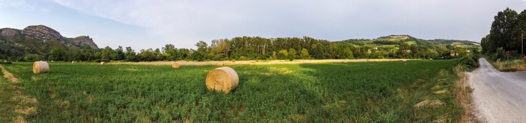 Panoramic view of hay bales in a green field in the Italian countryside in summer