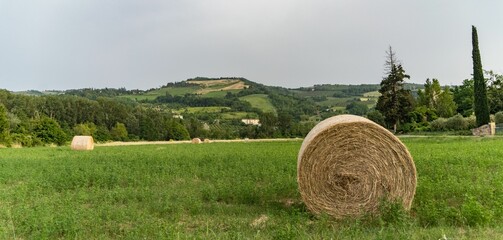 Scenic view of hay bales in a green field in the Italian countryside in summer