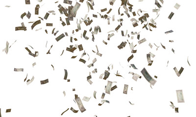 Fototapeta na wymiar 3D Money Confetti Element