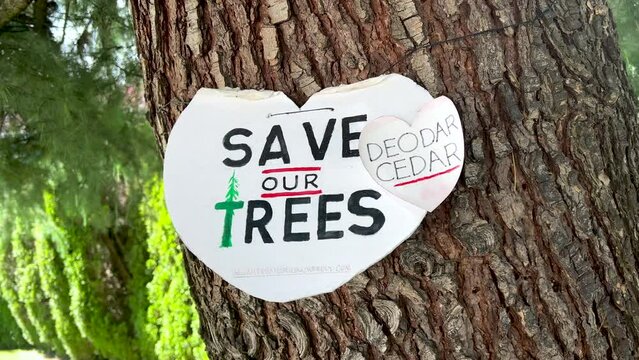 View of sign attached to the tree with text Save Our Trees