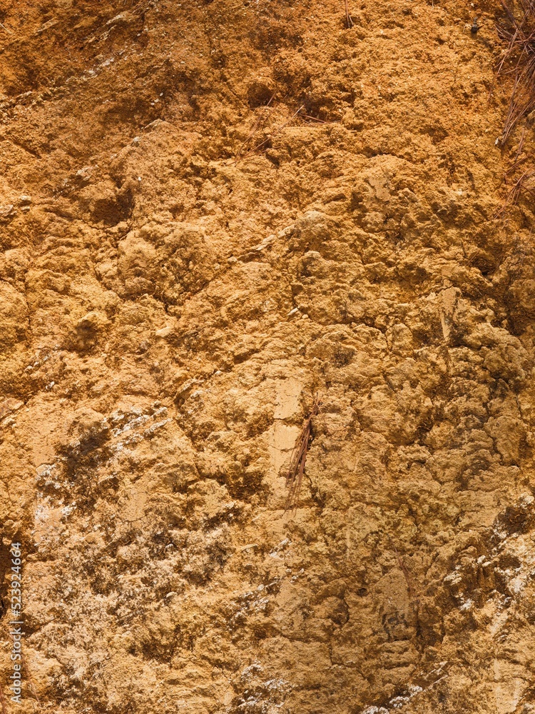 Wall mural close-up of soil background