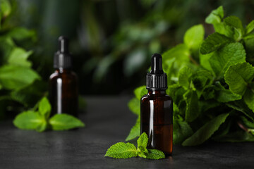 Bottle of mint essential oil and green leaves on grey table, space for text