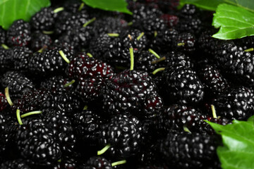 Fresh ripe black mulberries as background, closeup