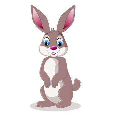 cartoon cute rabbit posing . vector,