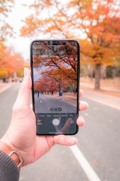 Person Holding A Smartphone About To Take A Photo Of Someone In Orange Fall Nature