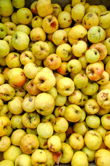 Defocus many yellow fruits background. Green apple texture, lots of green apples. Apples storage. Bunch of green delicious apples in a box in supermarket. Ripe and juice. Copy space Out of focus