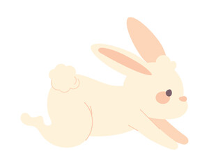 white rabbit icon