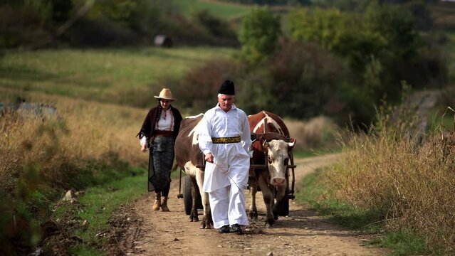 Romanian peasants go by oxcart 10
